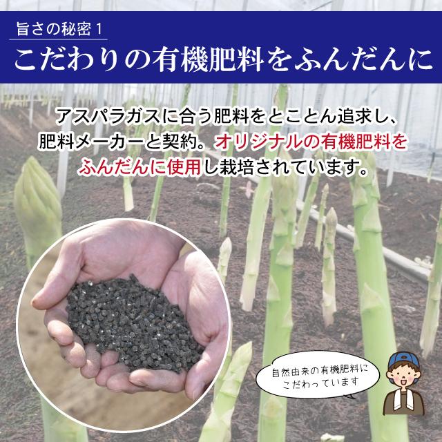 夏芽 アスパラガス 1kg L-Mサイズ混合 5月〜8月発送  夏芽 福岡県産 朝採り 採りたて 新鮮 農家直送 産地直送 産直 旬 甘い ギフト 贈答 贈り物 |  | 05
