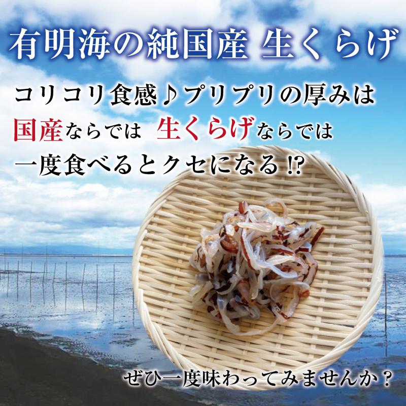 クラゲ 食用 国産 生クラゲ 刺身くらげ 生食用 刺身用 有明海産 有明ビゼンくらげ 赤くらげ 国産 産地直送 おつまみ 珍味 小分け チルド便 5袋 100g 5袋 500g Hkak001 めぐーる九州 通販 Yahoo ショッピング