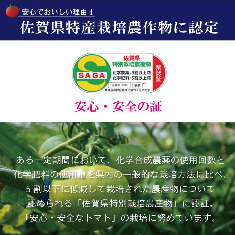 佐賀県産 フルーツトマト エンペラースーパーレッド 高級トマト 甘い あまい 酸味 濃い 濃厚 美味しい 農家直送 化粧箱入 ギフト 贈り物 |  | 08