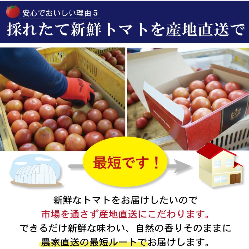 佐賀県産 フルーツトマト エンペラースーパーレッド 高級トマト 甘い あまい 酸味 濃い 濃厚 美味しい 農家直送 化粧箱入 ギフト 贈り物 |  | 09