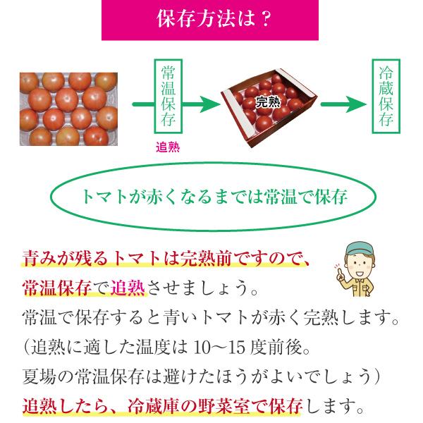 佐賀県産 フルーツトマト エンペラースーパーレッド 高級トマト 甘い あまい 酸味 濃い 濃厚 美味しい 農家直送 化粧箱入 ギフト 贈り物 |  | 11