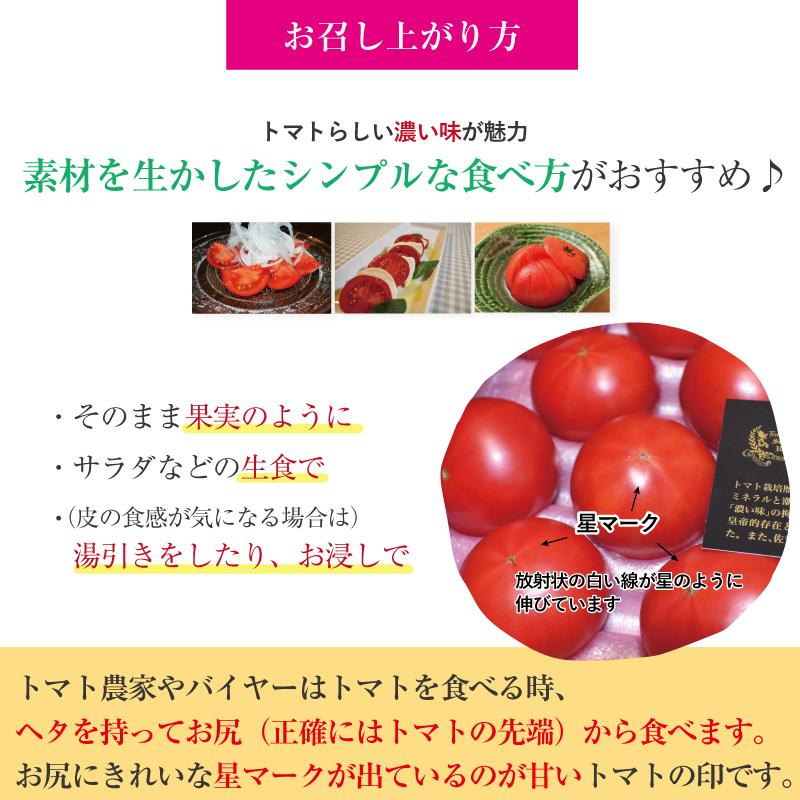 佐賀県産 フルーツトマト エンペラースーパーレッド 高級トマト 甘い あまい 酸味 濃い 濃厚 美味しい 農家直送 化粧箱入 ギフト 贈り物 |  | 12