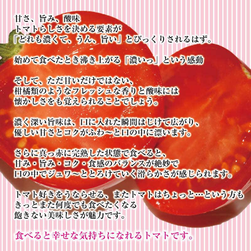 佐賀県産 フルーツトマト エンペラースーパーレッド 高級トマト 甘い あまい 酸味 濃い 濃厚 美味しい 農家直送 化粧箱入 ギフト 贈り物 |  | 13