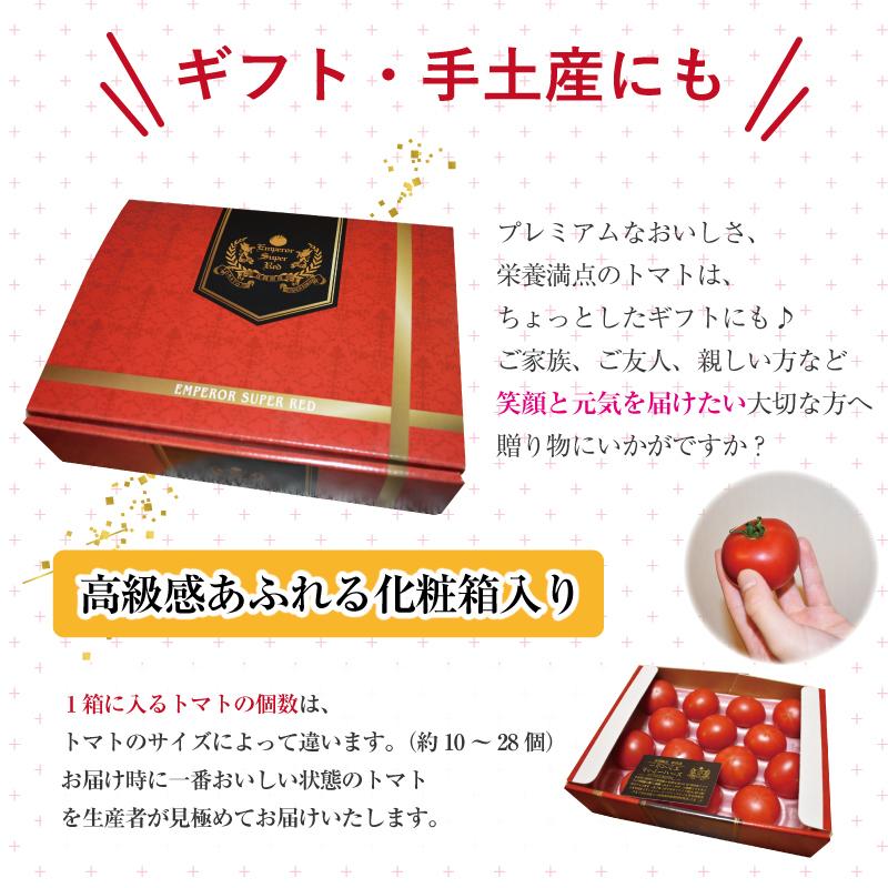 ☆新品超美品☆ あじのさと下拵えパーフェクトセット　レッド 楽天市場】☆毛穴・角質ケア☆【VT公式】【楽天限定】【毛穴悩みZERO