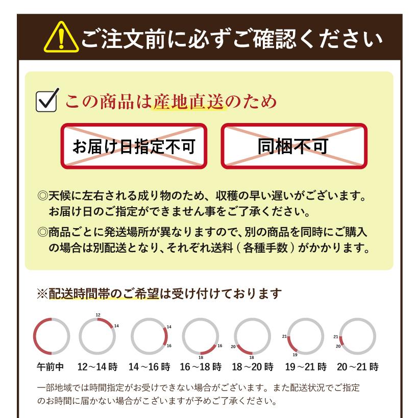 佐賀県産 フルーツトマト エンペラースーパーレッド 高級トマト 甘い あまい 酸味 濃い 濃厚 美味しい 農家直送 化粧箱入 ギフト 贈り物 |  | 17