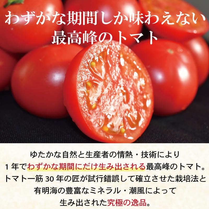 佐賀県産 フルーツトマト エンペラースーパーレッド 高級トマト 甘い あまい 酸味 濃い 濃厚 美味しい 農家直送 化粧箱入 ギフト 贈り物 |  | 02