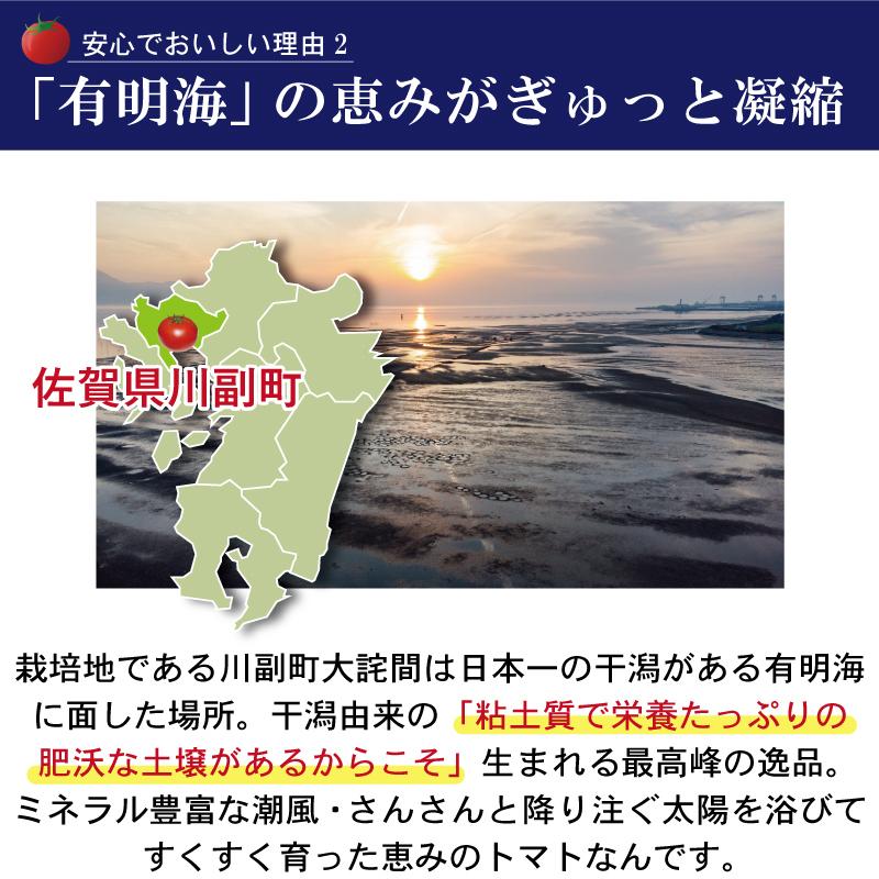 佐賀県産 フルーツトマト エンペラースーパーレッド 高級トマト 甘い あまい 酸味 濃い 濃厚 美味しい 農家直送 化粧箱入 ギフト 贈り物 |  | 06