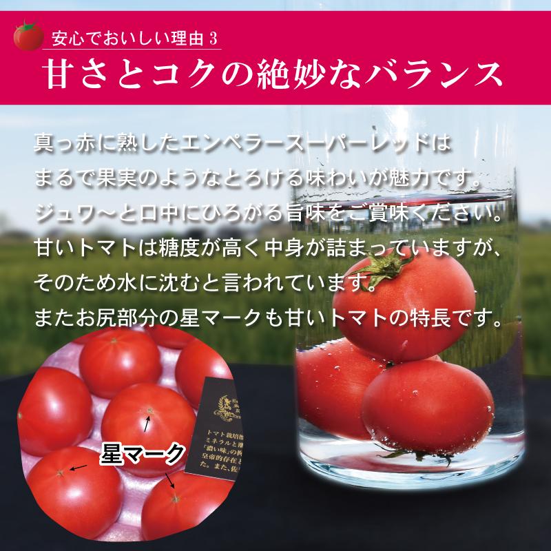 佐賀県産 フルーツトマト エンペラースーパーレッド 高級トマト 甘い あまい 酸味 濃い 濃厚 美味しい 農家直送 化粧箱入 ギフト 贈り物 |  | 07