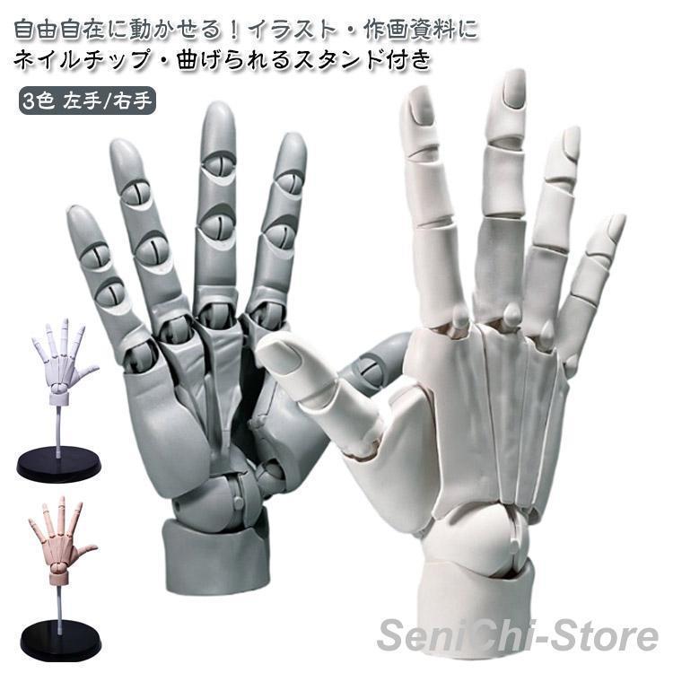 MODEL HAND ネイルアート用手モデル 3個セット ハンドモデル 曲げられるスタンド付き 1/1 デッサン用素体美術 右手