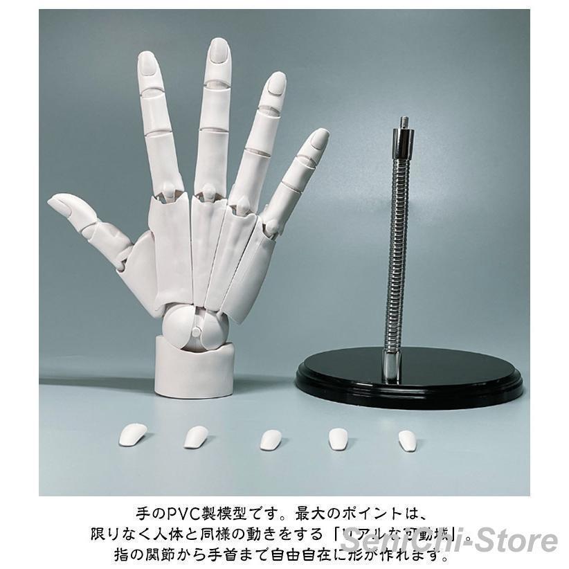 ハンドモデル 曲げられるスタンド付き 1/1 デッサン用素体美術 右手