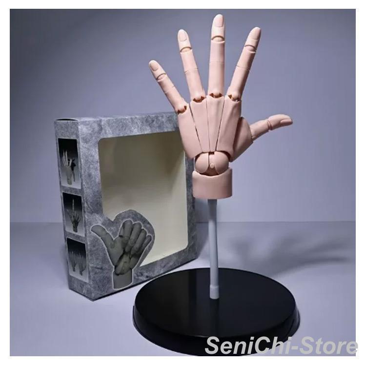 MODEL HAND ネイルアート用手モデル 3個セット ハンドモデル 曲げられるスタンド付き 1/1 デッサン用素体美術 右手