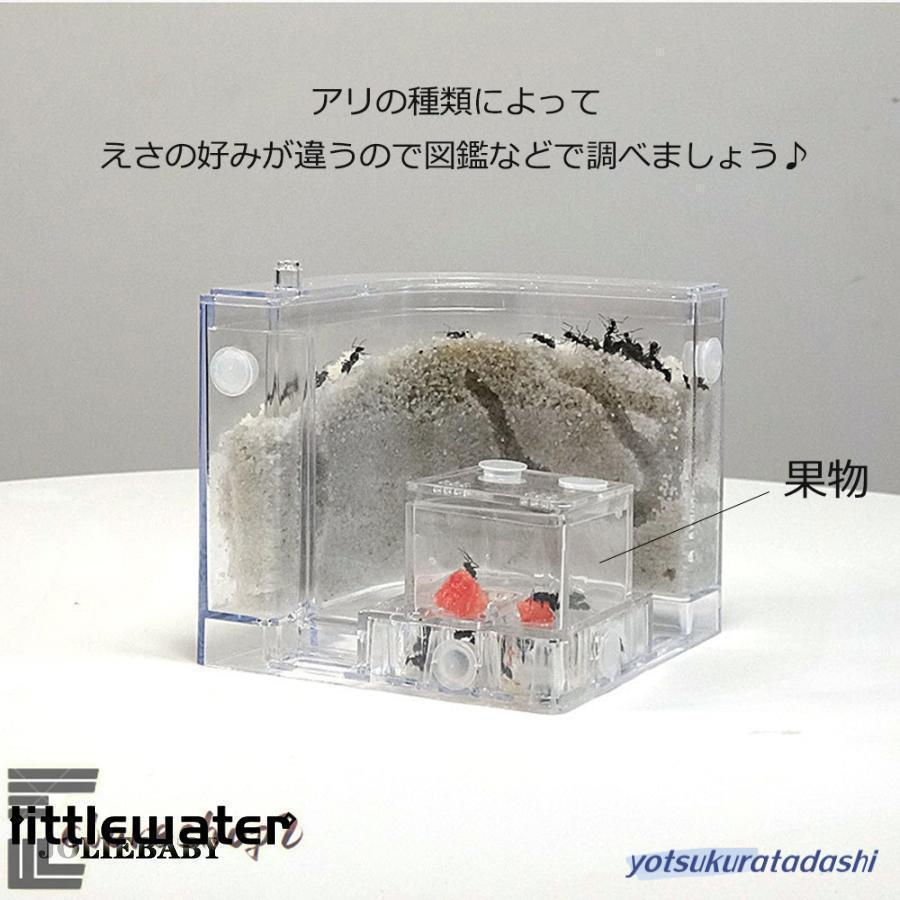 アリの巣 あり観察キット 飼育ケース 砂 自由研究 小学生 あり 蟻 飼育
