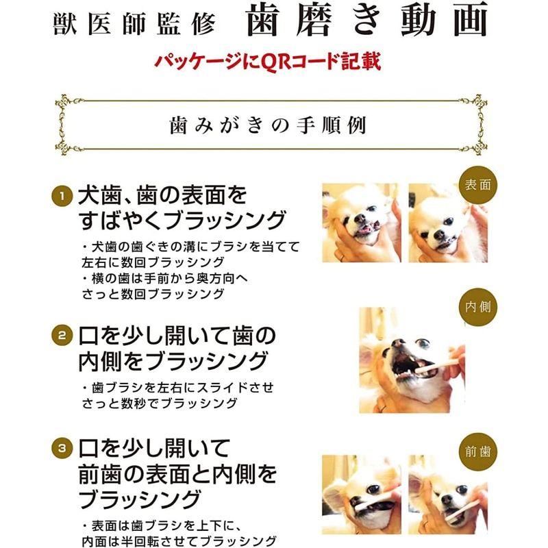 小型犬用 歯ブラシ ミガケンデ3種 トライアル ヤギ＆ウマの柔らかい天然毛使用 獣医師監修 日本製