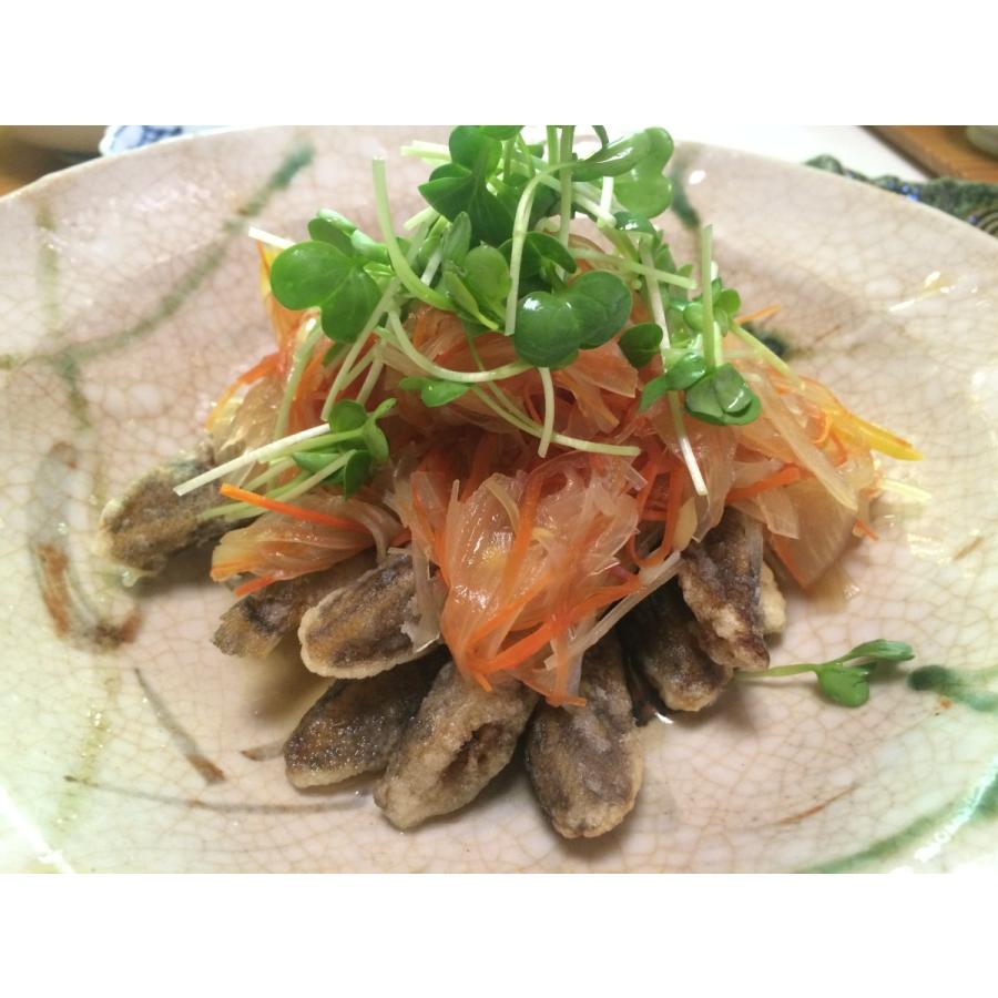 冷凍食品 メヒカリ唐揚げ 500ｇ めひかり 目光 から揚げ 愛知県産 愛知県 蒲郡 三河産 おすすめ 特価 安い 無添加 Haccp 学校給食 D Karaage 500 メヒカリのまんてん 通販 Yahoo ショッピング