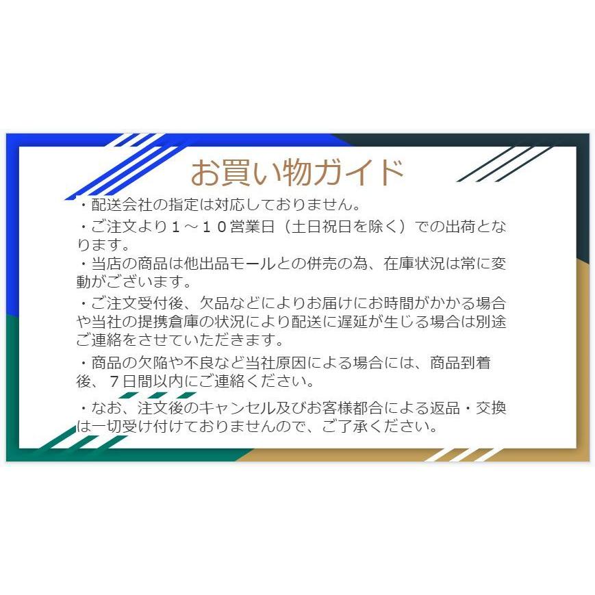 サクラクレパス 水筆 スタンダードサイズ 平筆 10本 QFN-M(10)｜mei-mei｜11