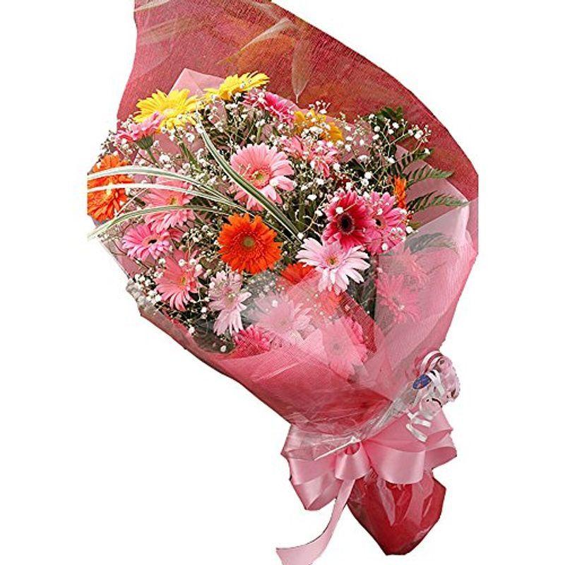 生まれのブランドで カラフルな花色で人気ナンバーワン フラワーシャワー 季節の花ガーベラ花束 生花 Oyostate Gov Ng