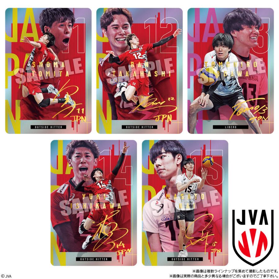 BOX〕バンダイ JAPAN NATIONAL VOLLEYBALL TEAM ツイン BOX〕バンダイ JAPAN NATIONAL VOLLEYBALL TEAM ツイン