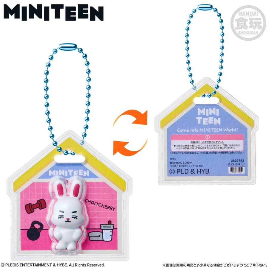 6個バラ売り〕バンダイ MINITEEN パッケージチャーム&グミ 6個 ( ミニ