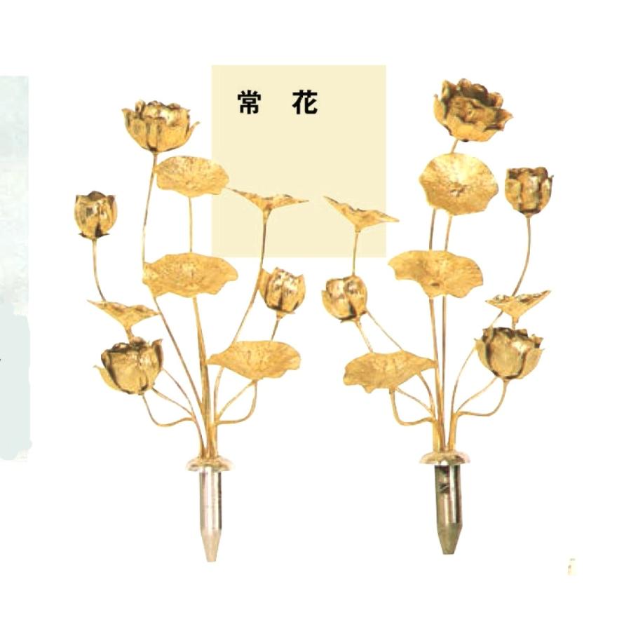 仏具 常花 アルミ・金色7寸-7本立 : めいぼくや webshop - 通販