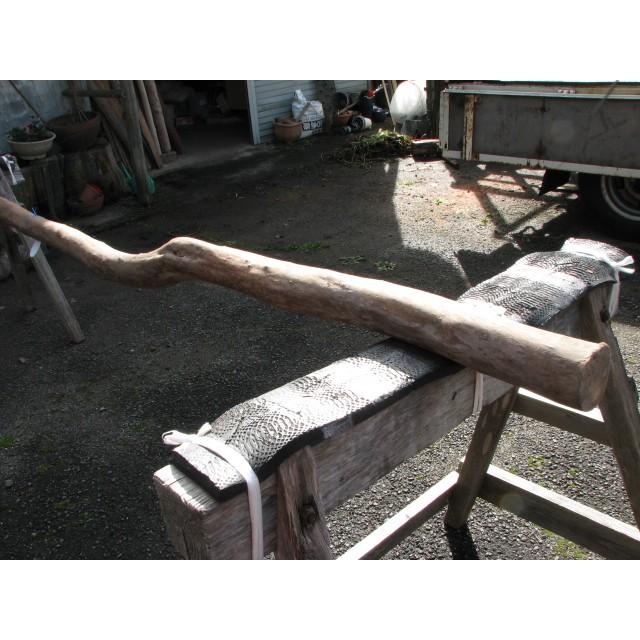 変木 サルスベリ中曲がり 3000x61~67~76 : めいぼくや webshop - 通販