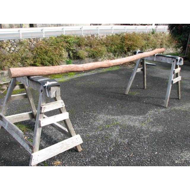 変木 サルスベリ 3000x79~91~100 : めいぼくや webshop - 通販 - Yahoo