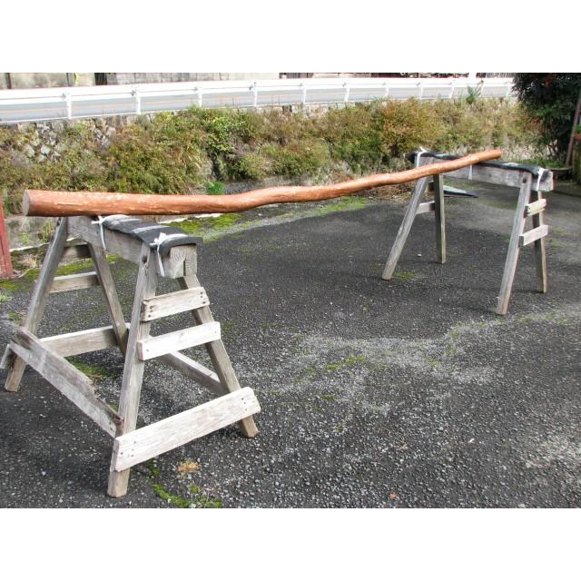 変木 サルスベリ 3000x64~73~91 : めいぼくや webshop - 通販 - Yahoo