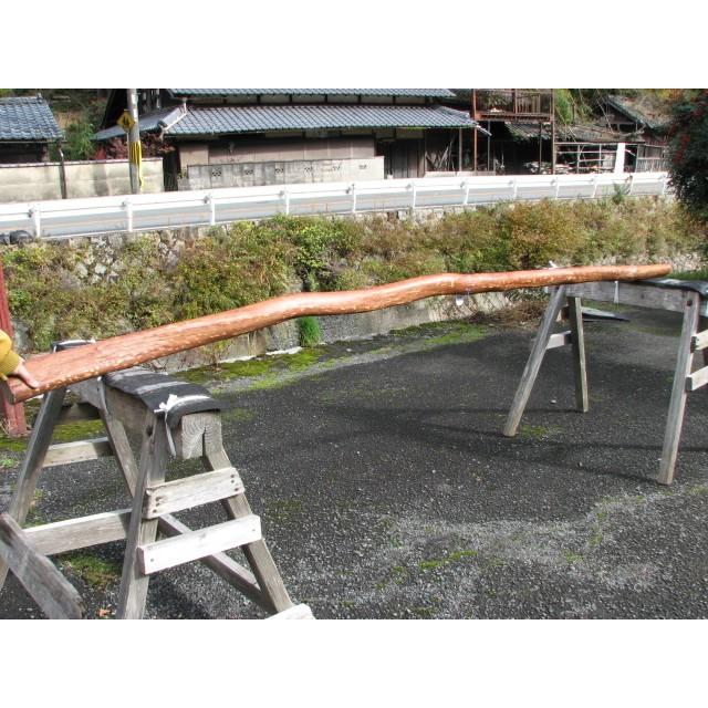 変木 サルスベリ 3000x64~73~91 : めいぼくや webshop - 通販 - Yahoo