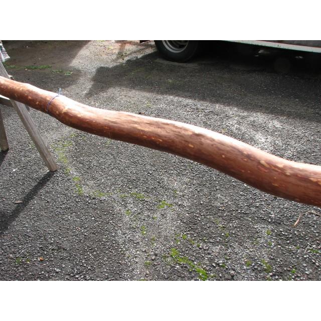 変木 サルスベリ 3000x64~73~91 : めいぼくや webshop - 通販 - Yahoo