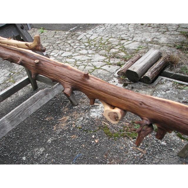変木 変木 ムロ 1820x 42~76~100 : めいぼくや webshop - 通販 - Yahoo