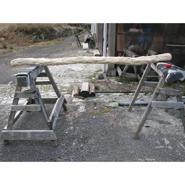 変木 モミジ 1820x82~91~97 : めいぼくや webshop - 通販 - Yahoo