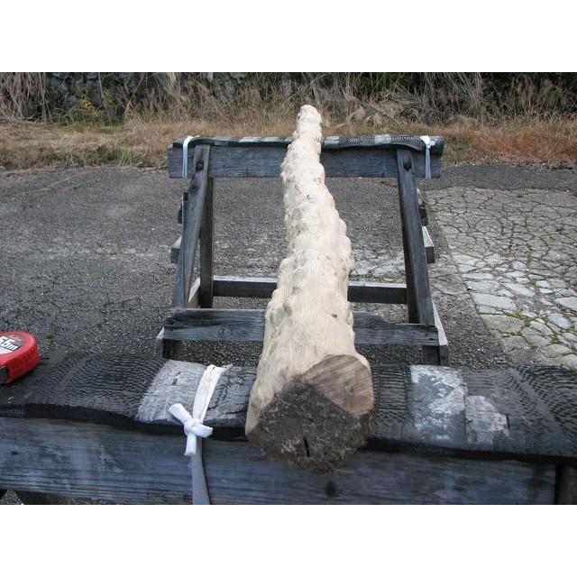 荒皮モミジ　優良素材 4pineapple.jpg?fitin=720:720