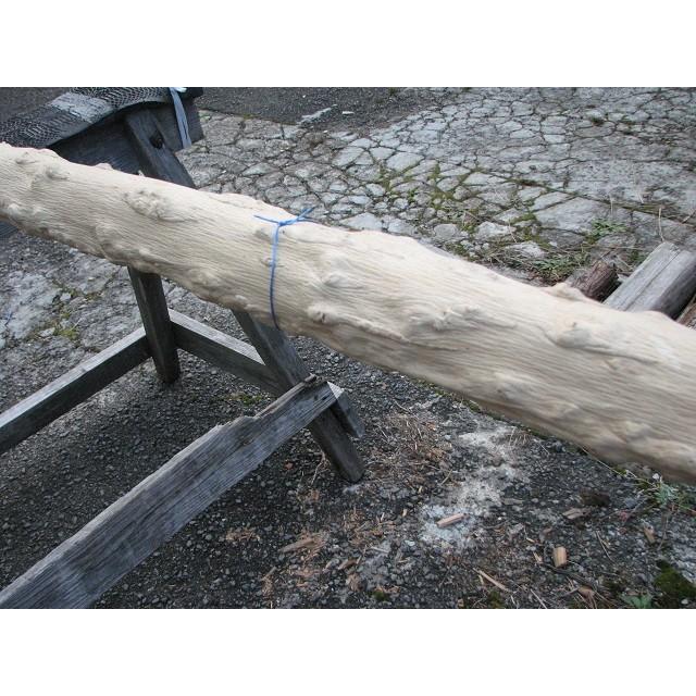 変木 モミジ 1820x82~91~97 : めいぼくや webshop - 通販 - Yahoo