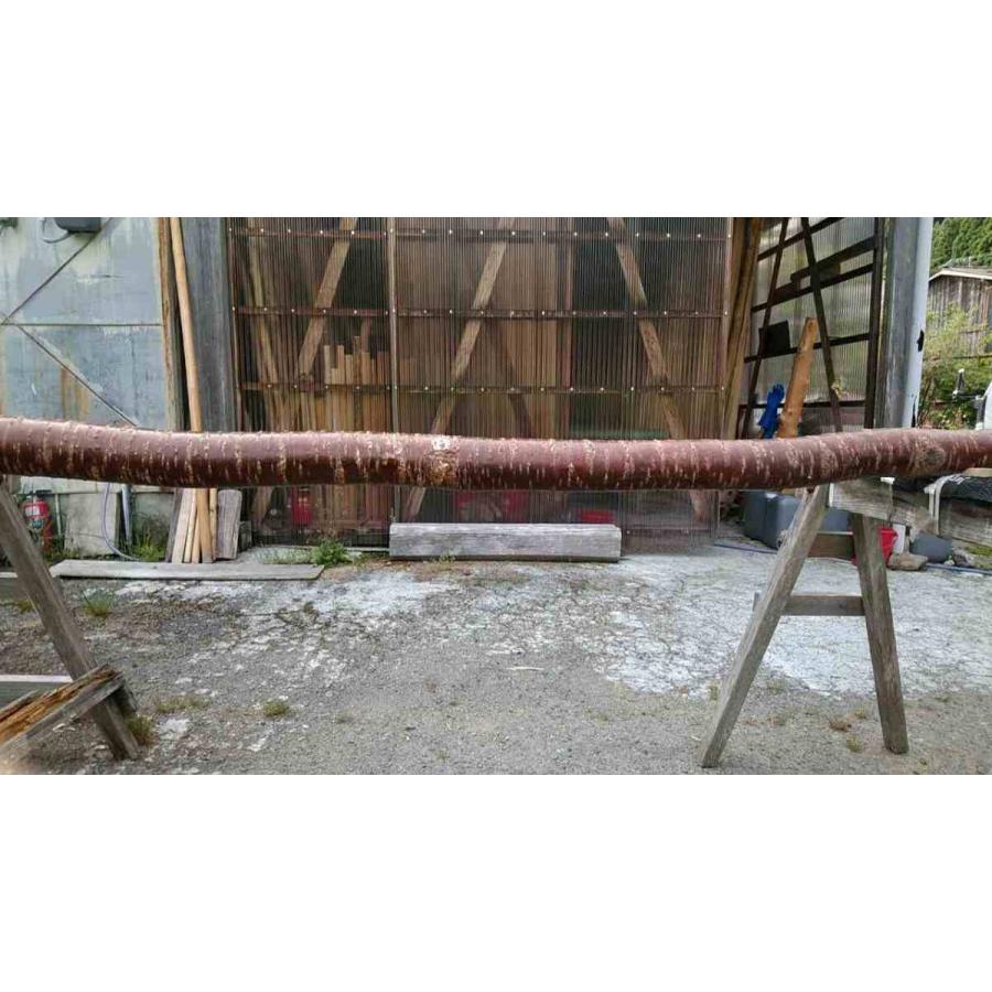 変木 桜 3000x95~98~105 : めいぼくや webshop - 通販 - Yahoo