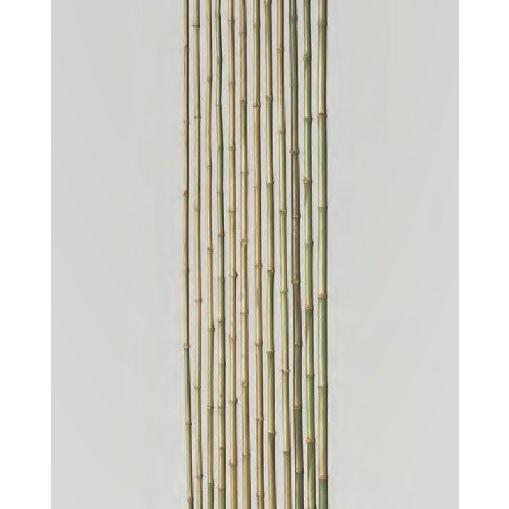 竹材 竹 寒竹 900〜1500mmx6φmm 1本単価 : めいぼくや webshop - 通販