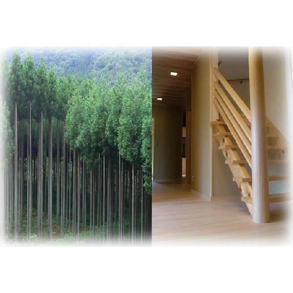 丸太 みがき丸太 磨き丸太 北山杉 良材1820x90φ末口サイズ : めいぼく