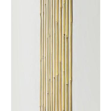 竹材 竹 女竹 め竹 めだけ めたけ 3950x20~22φmm 防虫処理 1本単価