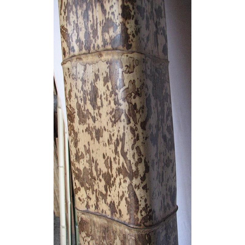 図面角竹 背割 防虫品 3000mm x 150mm 1本単価 竹材 特価品 : めいぼく