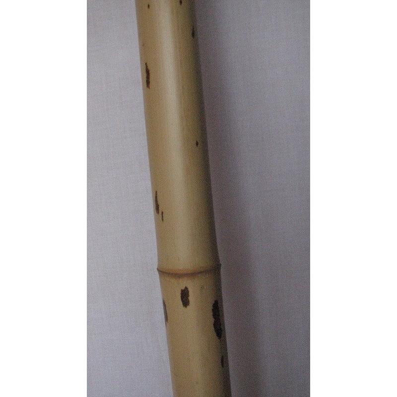 紋竹 防虫品 2000mm x 68mm 1本単価 竹材 特価品 : めいぼくや webshop