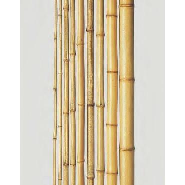 竹材 竹 天然錆竹 胡麻竹 1950x8~13φmm さび竹 サビ竹 ごま竹 ゴマ竹 1