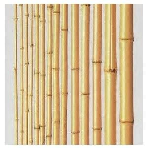 竹材 大割引 竹 晒竹 品質一番の 防虫処理なし1950 1本単価 mm x9~13φ