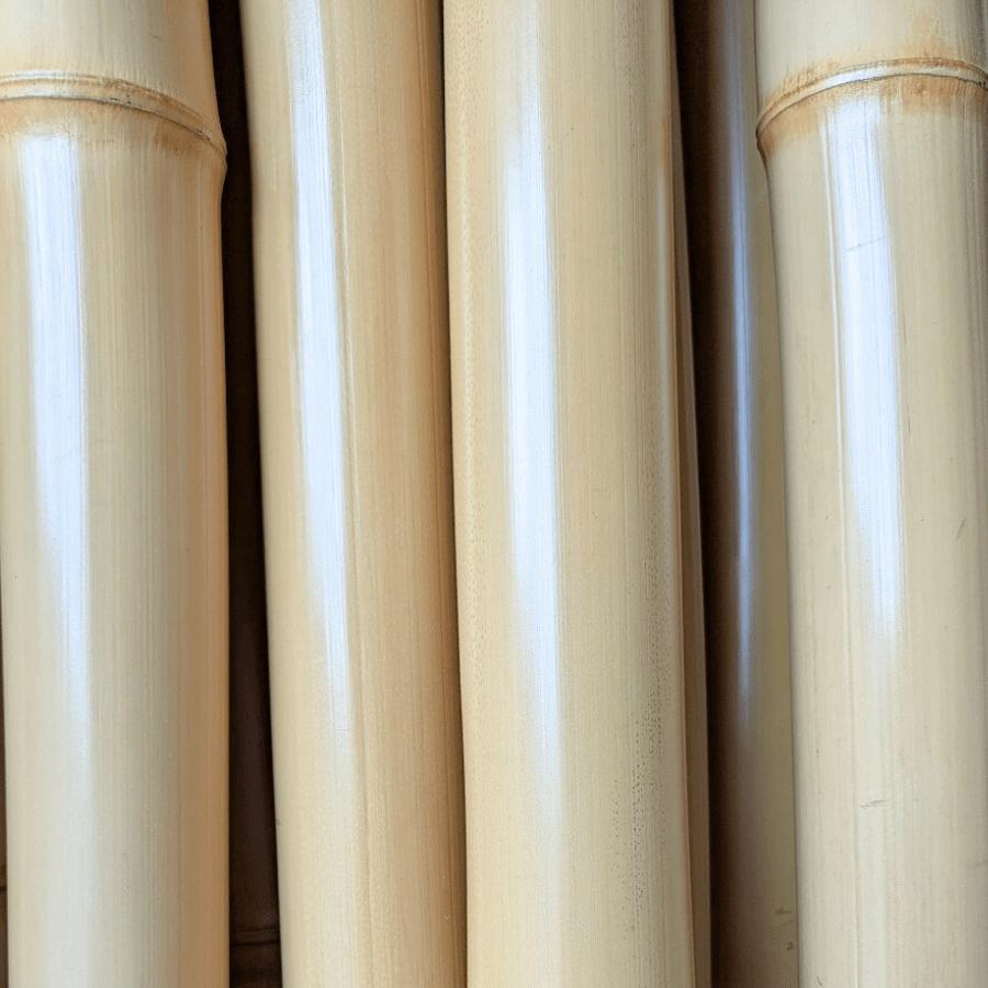 c*m様 晒竹 shioken_take-11.jpg?t=