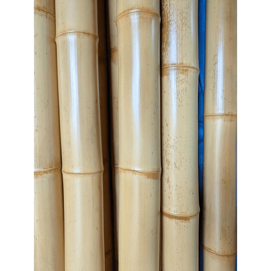 竹材 竹 晒竹 さらし竹 サラシ竹 1950x20~22φmm 防虫処理なし 1