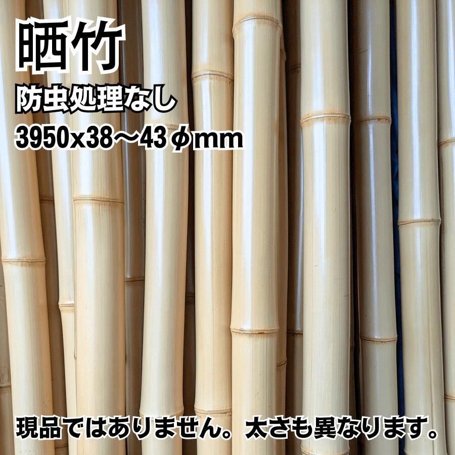 竹材 竹 晒竹 さらし竹 サラシ竹 3950x38~43φmm 防虫処理なし 1本単価 : めいぼくや webshop - 通販 ...