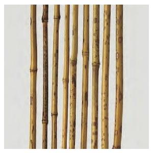 竹材 竹 シナ竹 1500x18φmm 1本単価 : めいぼくや webshop - 通販