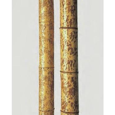 竹材 竹 図面丸竹 防虫処理 1950x89〜97φmm 1本単価