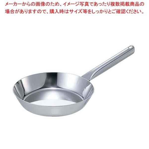 EBM モリブデンジII フライパン 21cm