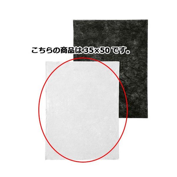 不織布インナーバッグ 薄タイプ 白 35×50 100枚 特別価格