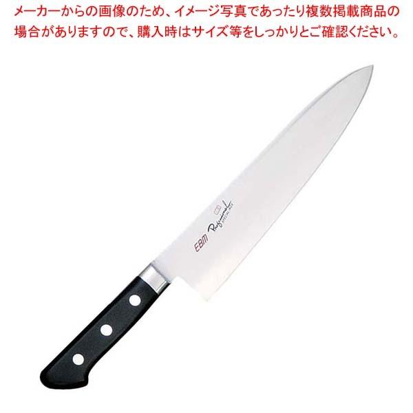 EBM 抗菌 スペシャル・イノックス 洋出刃 21cm