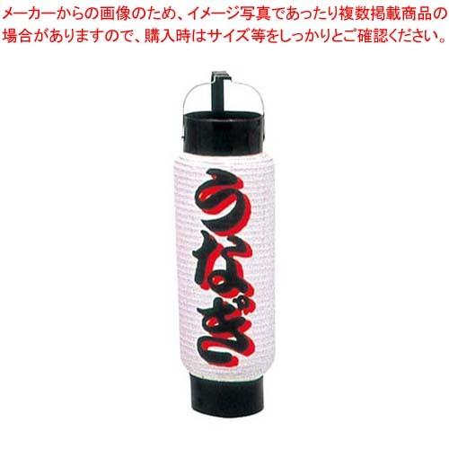 ミニ提灯 5号 弓張 1053 うなぎ