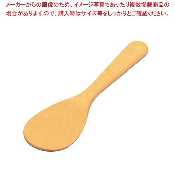 アーライト スプーン SS-1410 10インチ